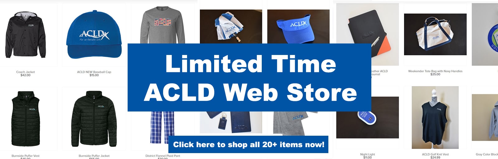 Web Store Under Mission Box Draft OCT Adults & Children with Learning